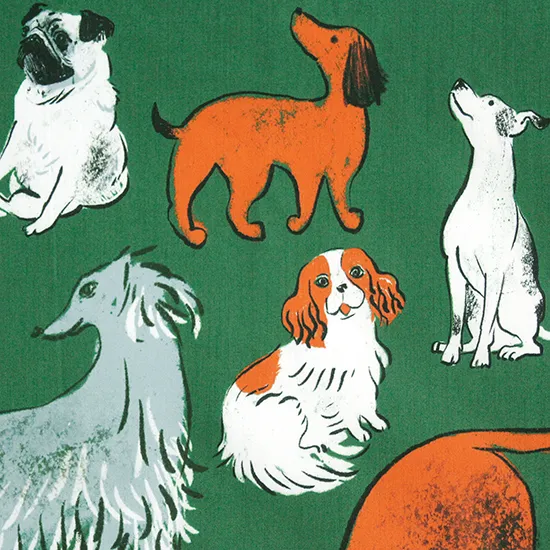 DOG RUN