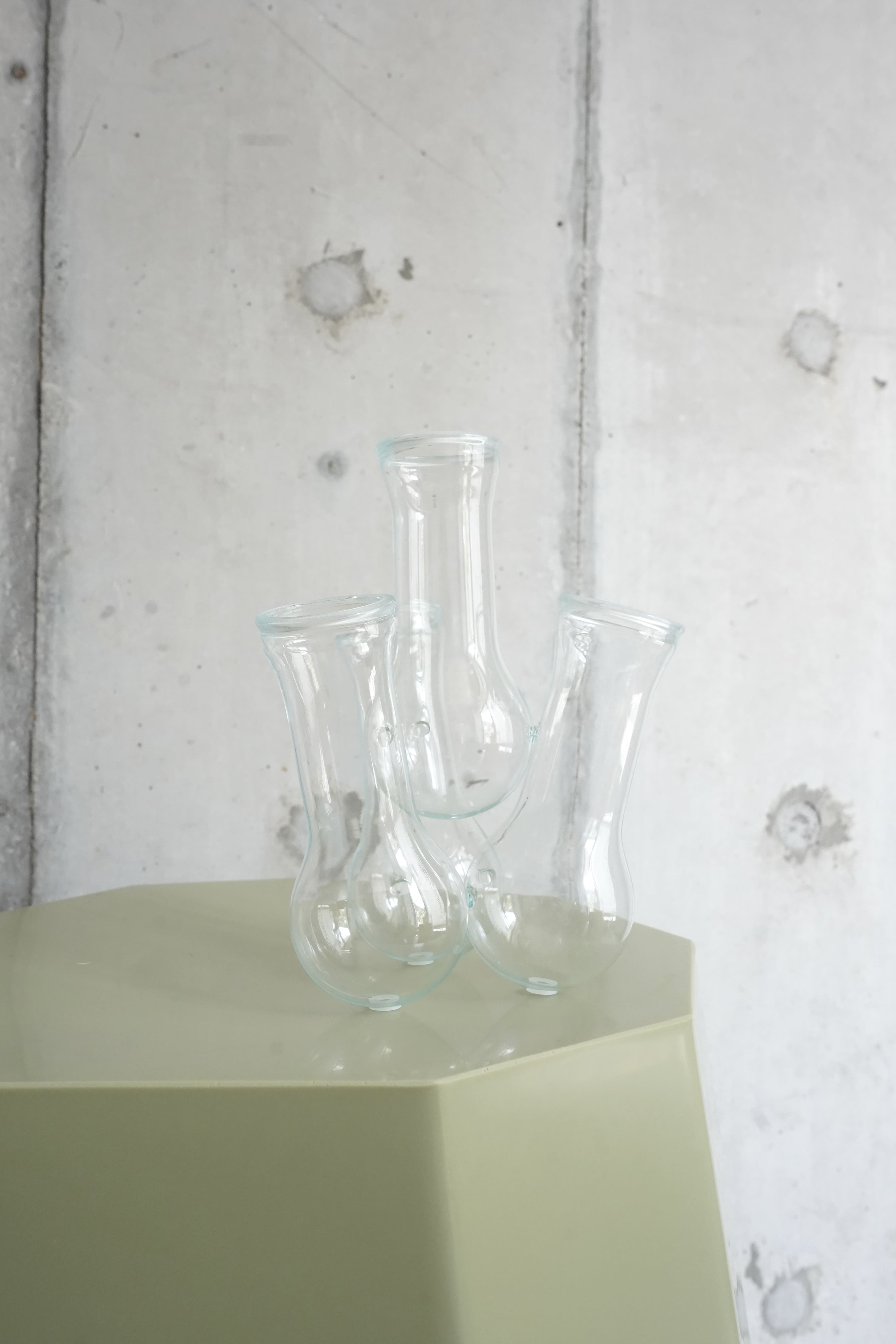 MULTI HOLE VASE (S) / clear