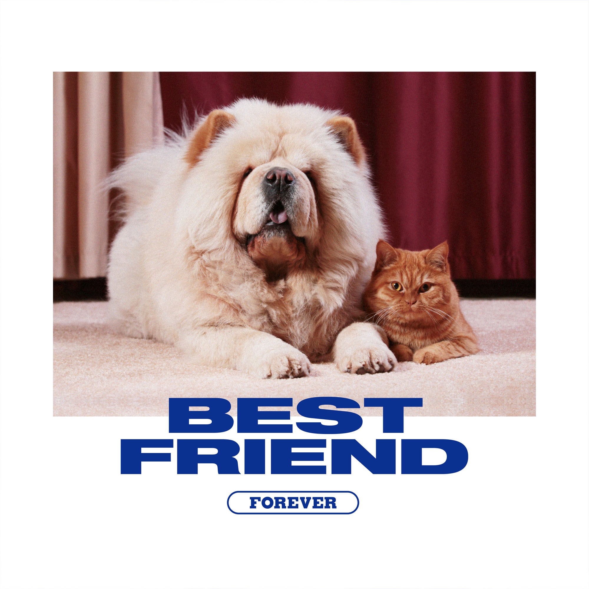 BEST FRIEND T-SHIRTS size: S