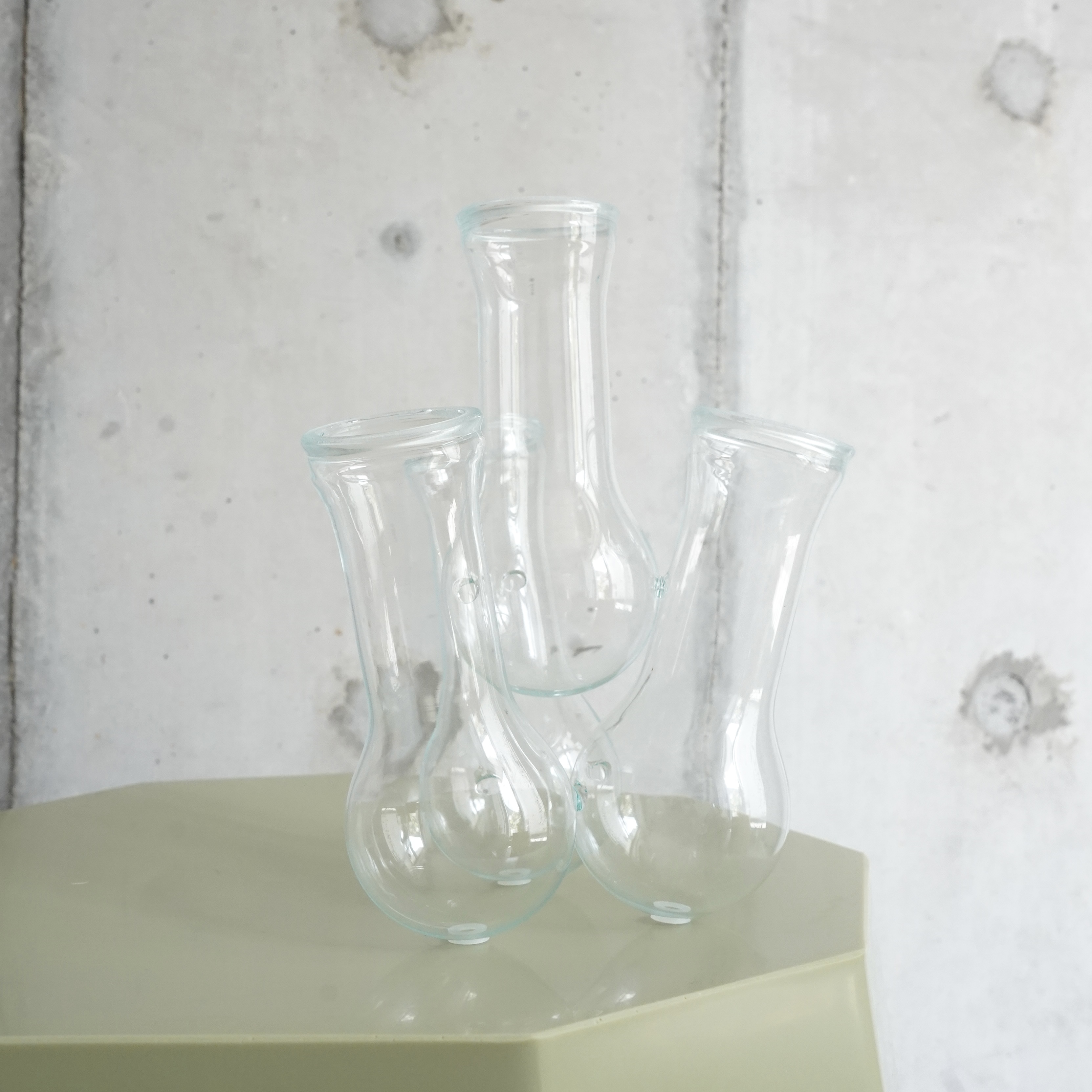MULTI HOLE VASE (S) / clear