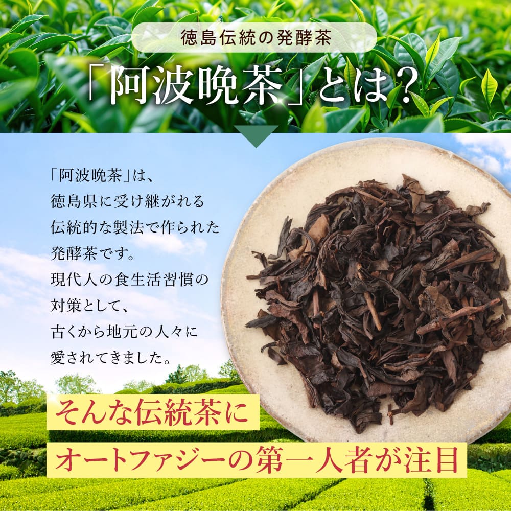 「阿波晩茶」とは？