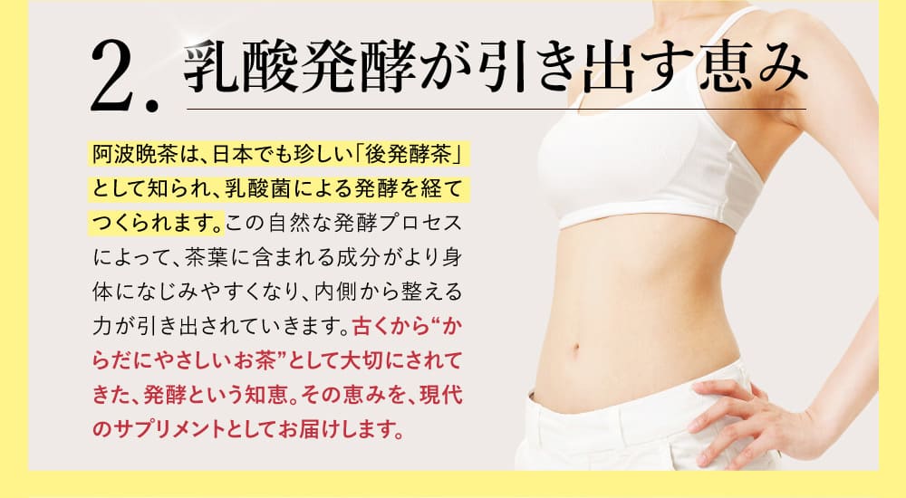 2 乳酸発酵が引き出す恵み
