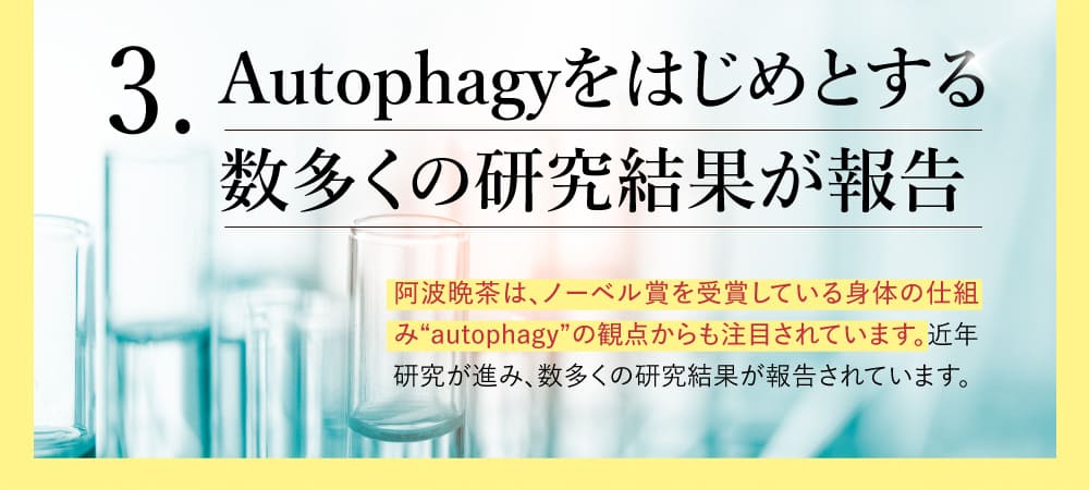 3 Autophagyをはじめとする数多くの研究結果が報告