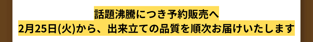 話題沸騰につき予約販売へ