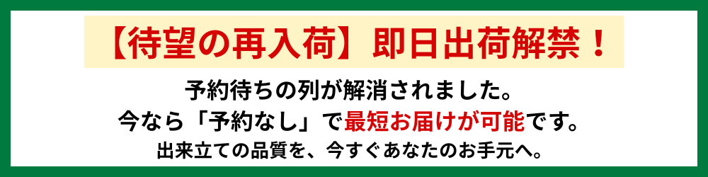 待望の再入荷・即日出荷解禁！