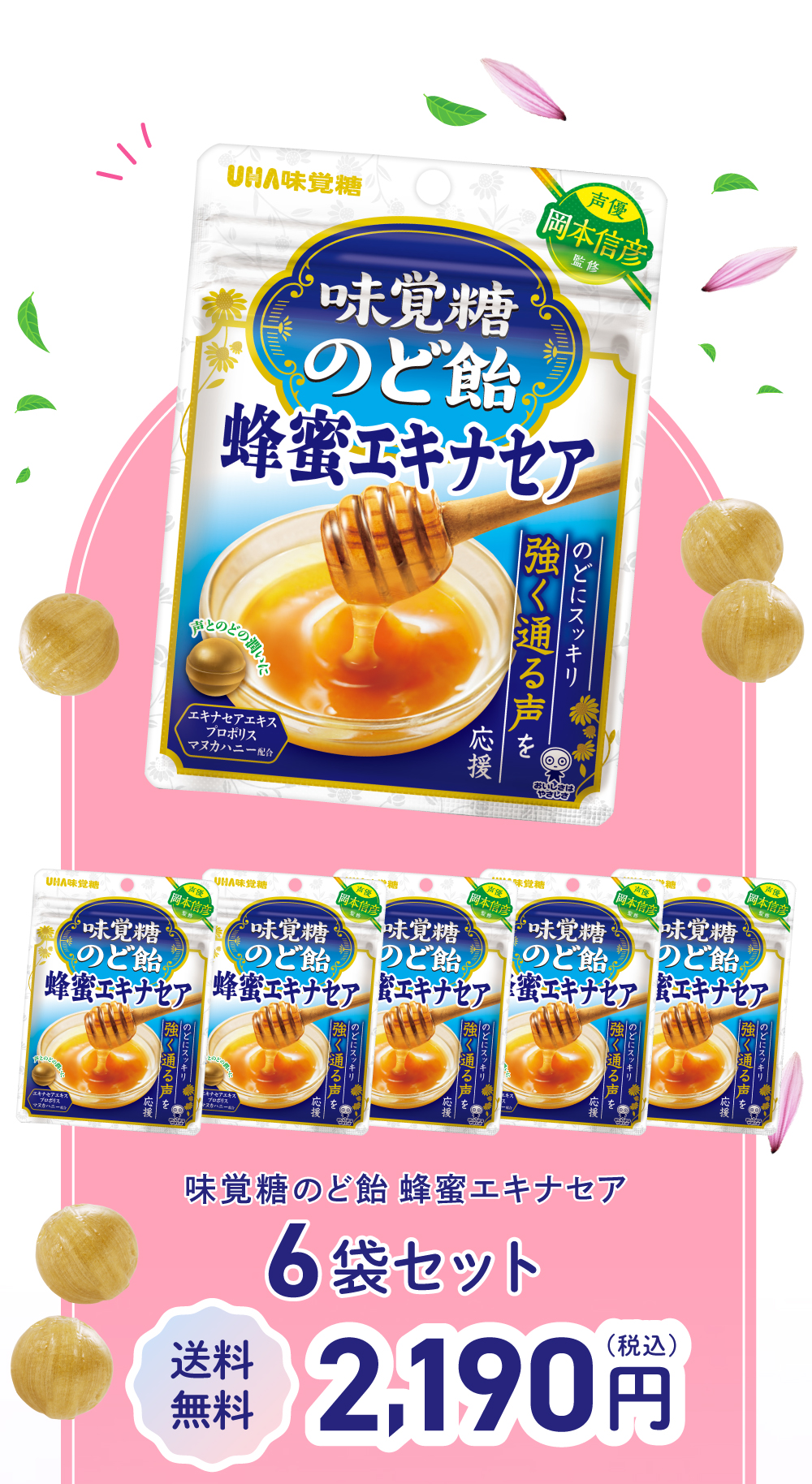 人気声優の岡本信彦さん監修、味覚糖のど飴 蜂蜜エキナセア6袋セット