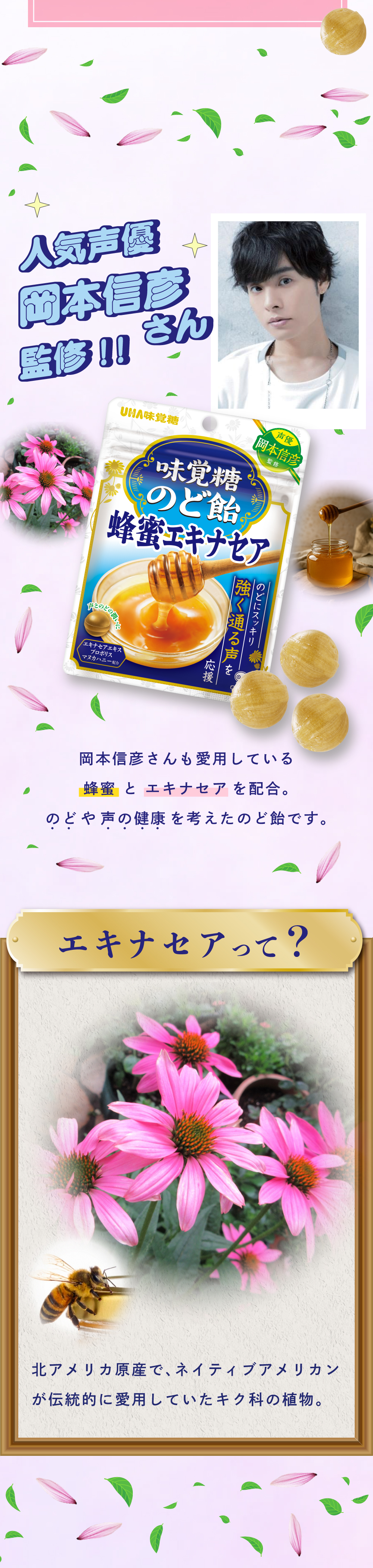 岡本信彦さんも愛用している蜂蜜とエキナセアを配合。のどや声の健康を考えたのど飴です。