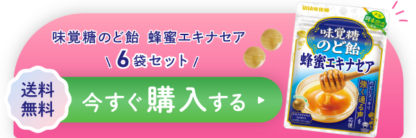 送料無料　味覚糖のど飴 蜂蜜エキナセア6袋セットを今すぐ購入する