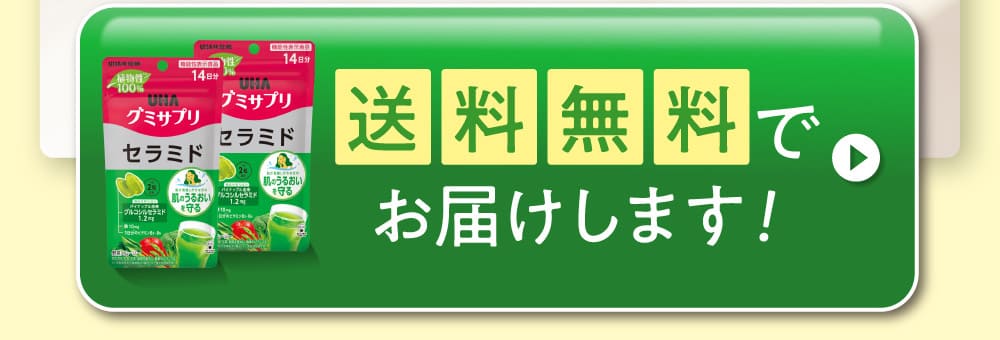 送料無料でお届けします！