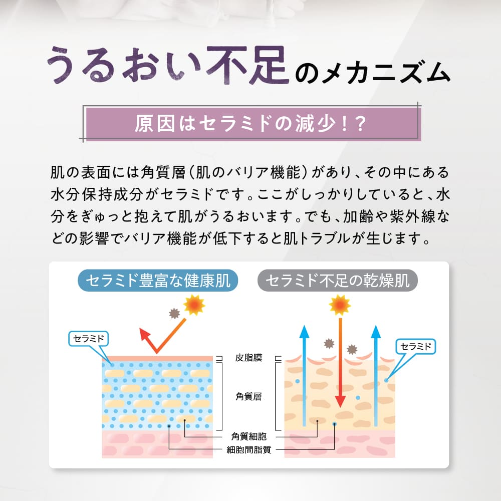 うるおい不足のメカニズム 原因はセラミドの減少！？