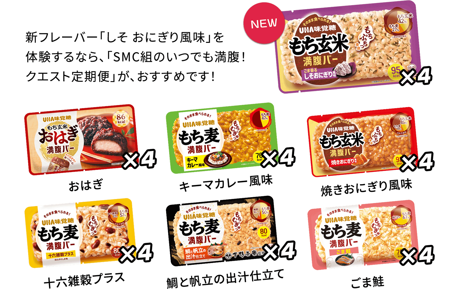 WEB限定発売の新フレーバー「しそ おにぎり風味」を体験するなら、「SMC組のいつでも満腹！クエスト定期便」