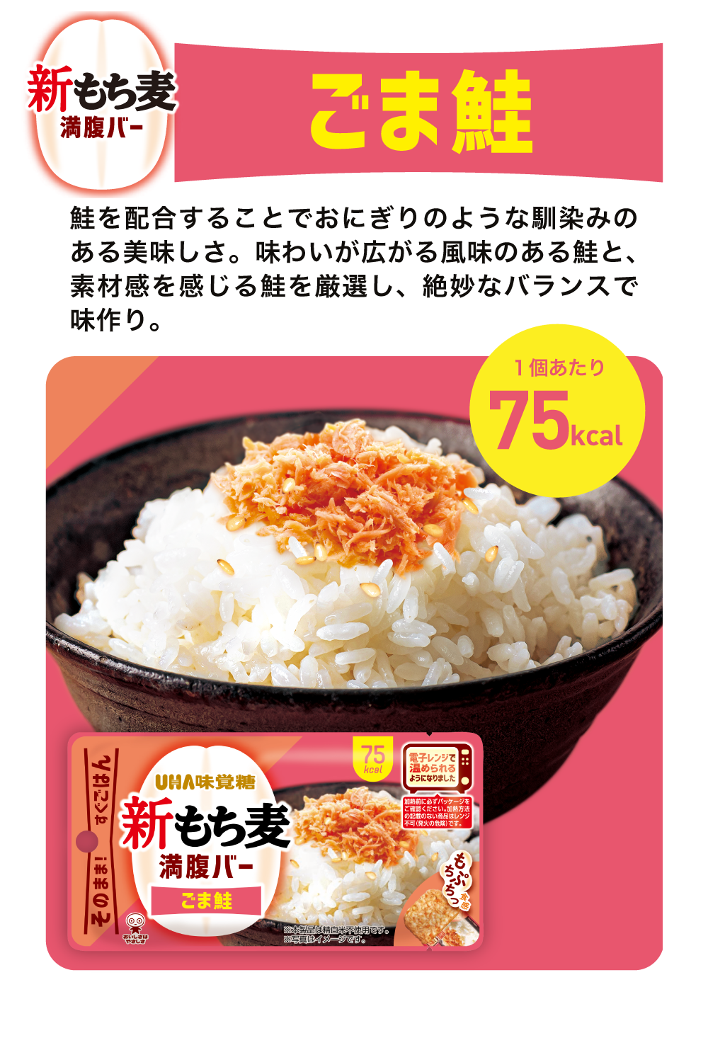 公式通販】満腹バー／WEB限定 購入セット｜UHA味覚糖オンラインショップ