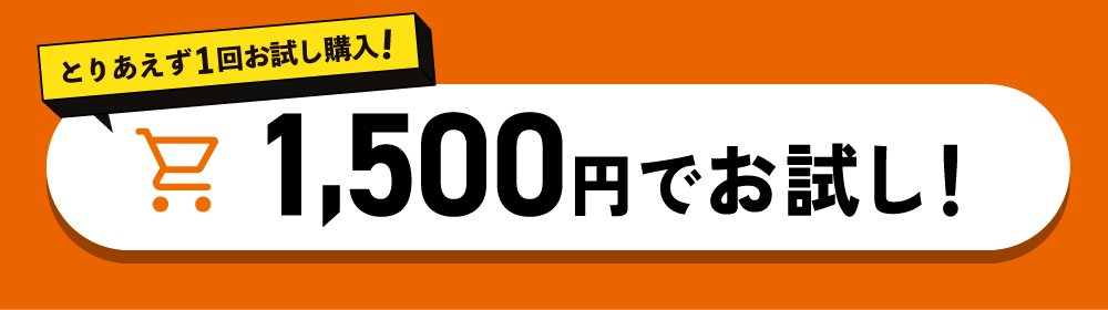 1500円でお試し