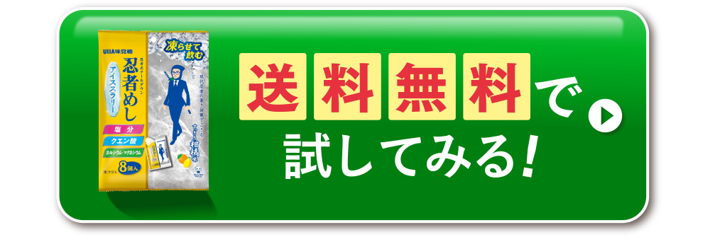 忍者式クールダウン 忍者めし アイスラリー｜UHA味覚糖公式オンライン