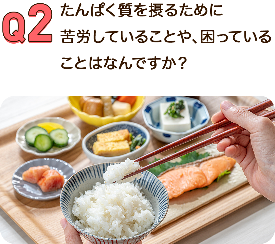 Q2.たんぱく質を摂るために苦労していることや、困っていることはなんですか？