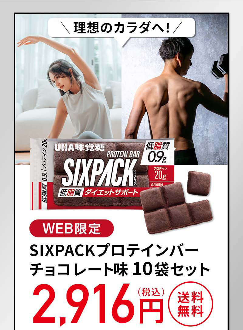 頑張らないプロテイン補給、「WEB限定」SIXPACKプロテインバーチョコレート10袋セット、2916円（税込）送料無用