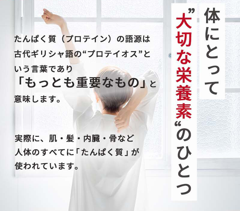 体にとって大切な栄養素 のひとつ、たんぱく質（プロテイン）の語源は古代ギリシャ語の“プロテイオス”という言葉であり「もっとも重要なもの」と意味します。実際に、肌・髪・内臓・骨など人体のすべてに「たんぱく質」が使われています。