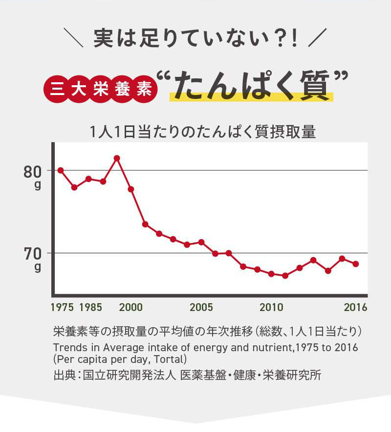 実は足りていない？！三大栄養素、たんぱく質