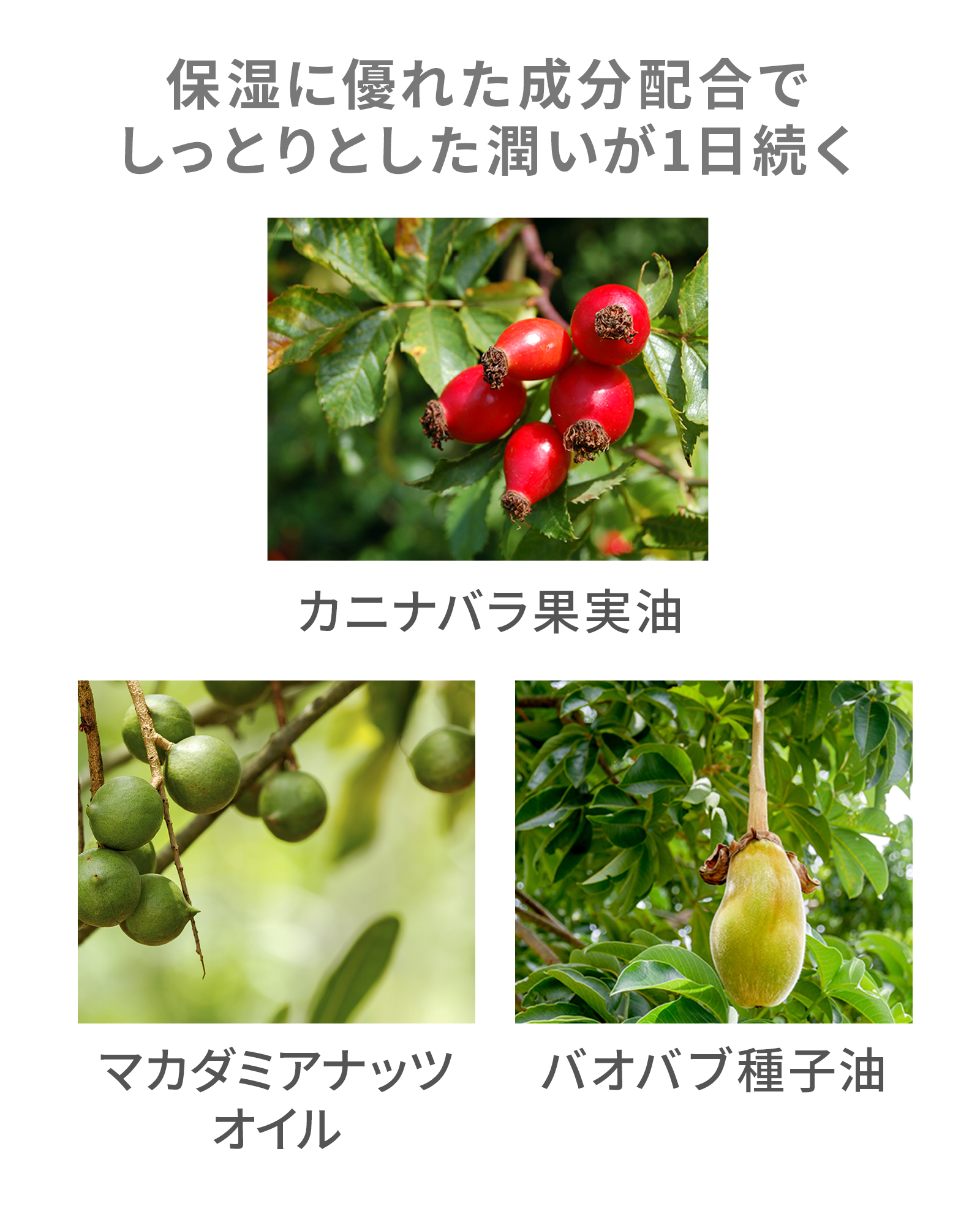 ボタニカルモイストギフトセット