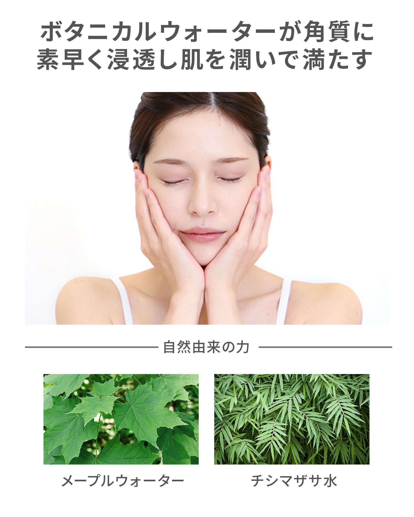 【定期コース】【初回50％OFF】ボタニカルモイストローション