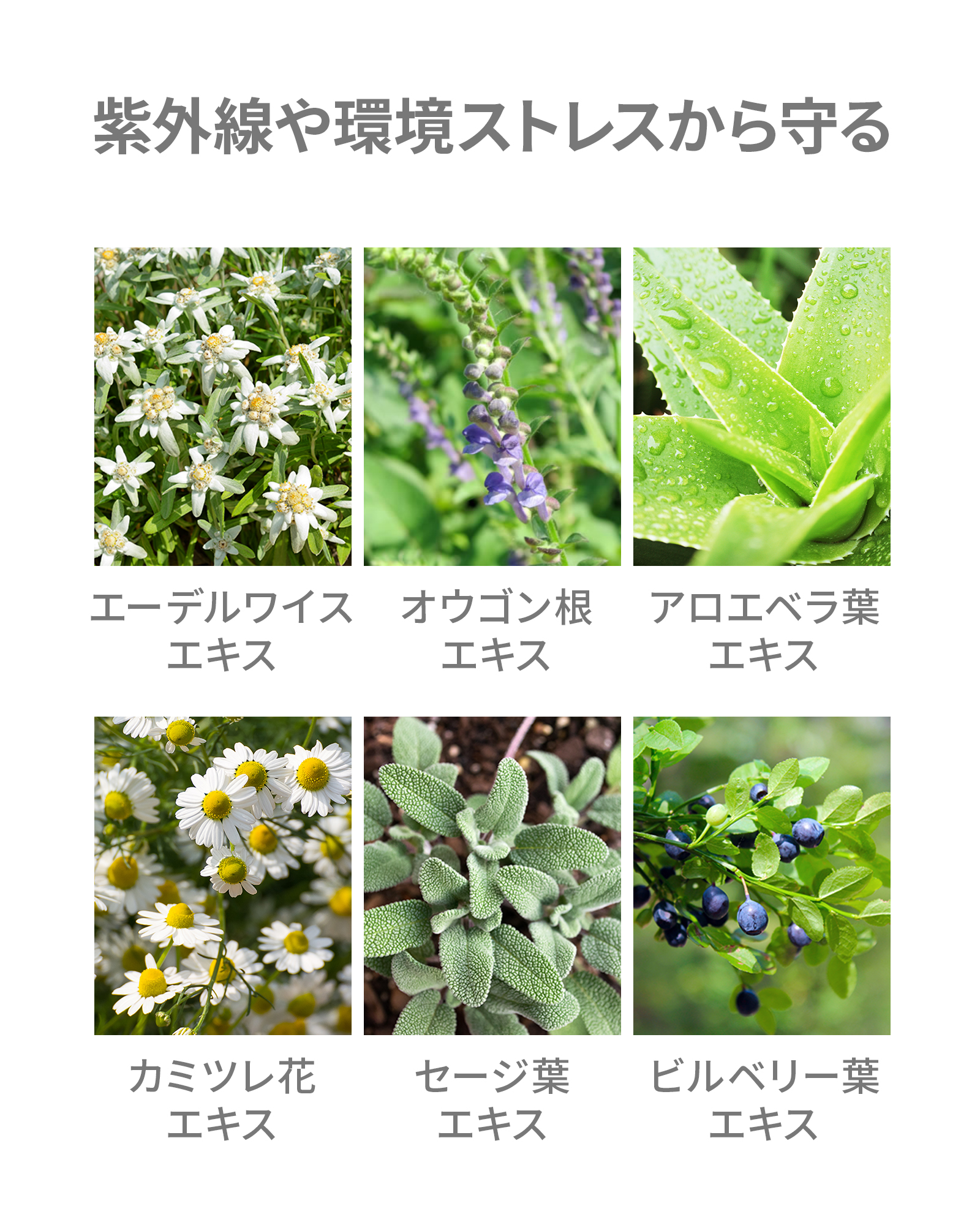 【定期コース】ミネラルUVクリーム