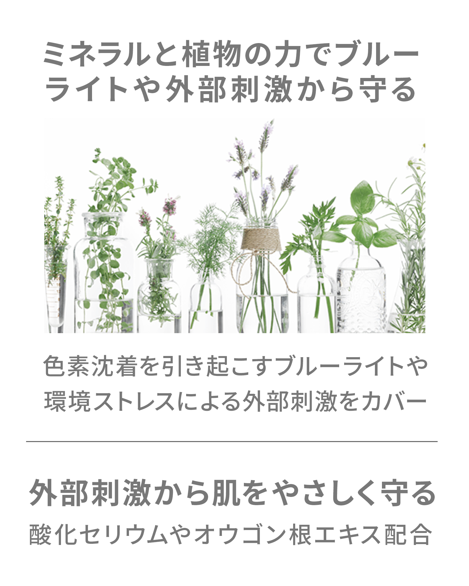【定期コース】ミネラルシルクマットベース
