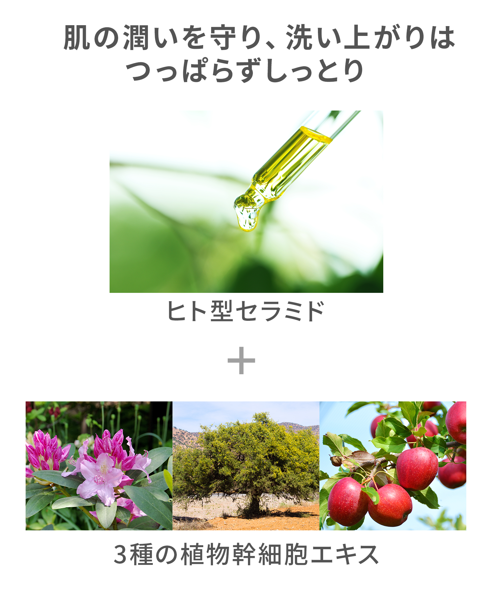 ボタニカルモイストウォッシュ（メレンゲ泡立てネット付）