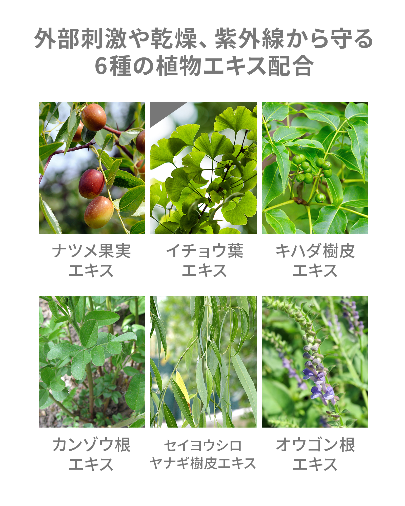 【定期コース】ミネラルシルクメイクアップベース