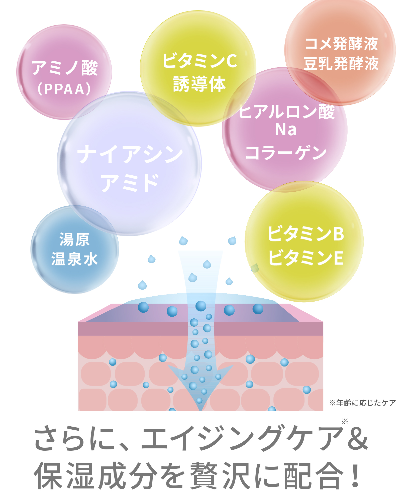 モイストリフト4品セット