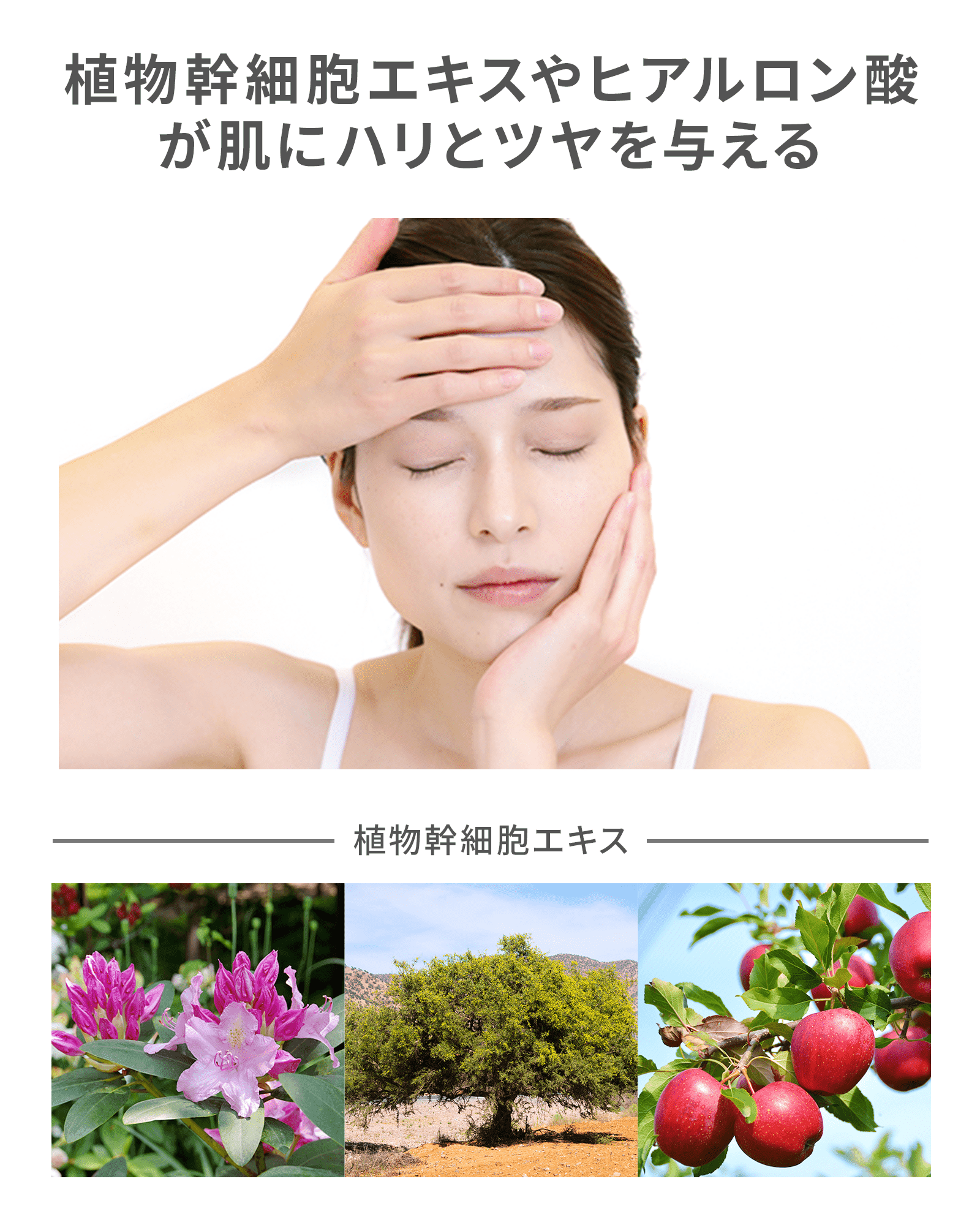 【定期コース】【初回50％OFF】ボタニカルモイストセラム