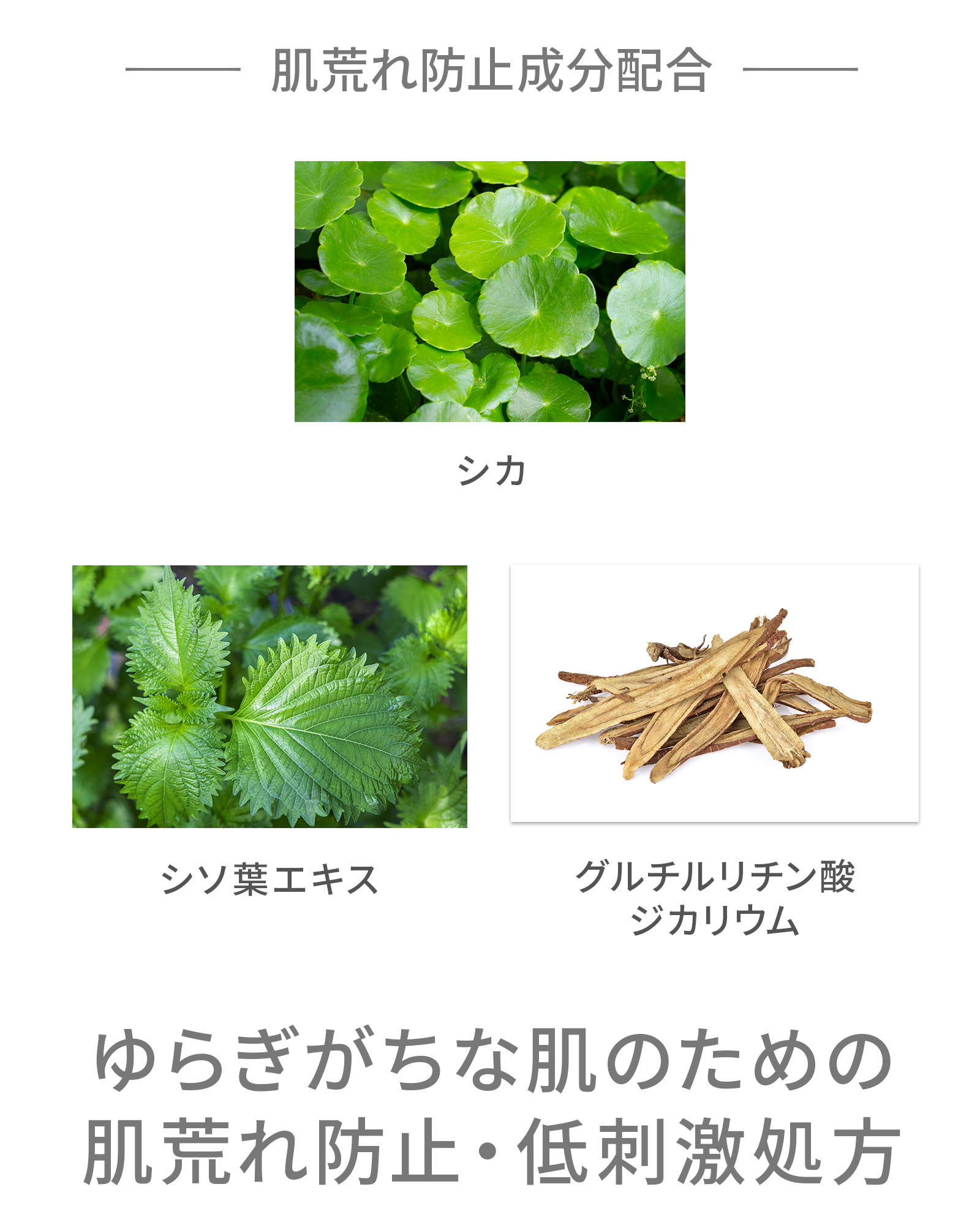 【定期コース】【3本おまとめ】モイストリフトローションセラム
