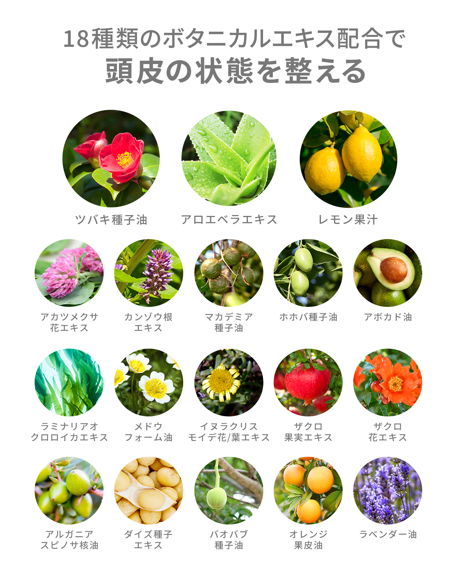 ボタニカルリペアシャンプー（ポンプ無）