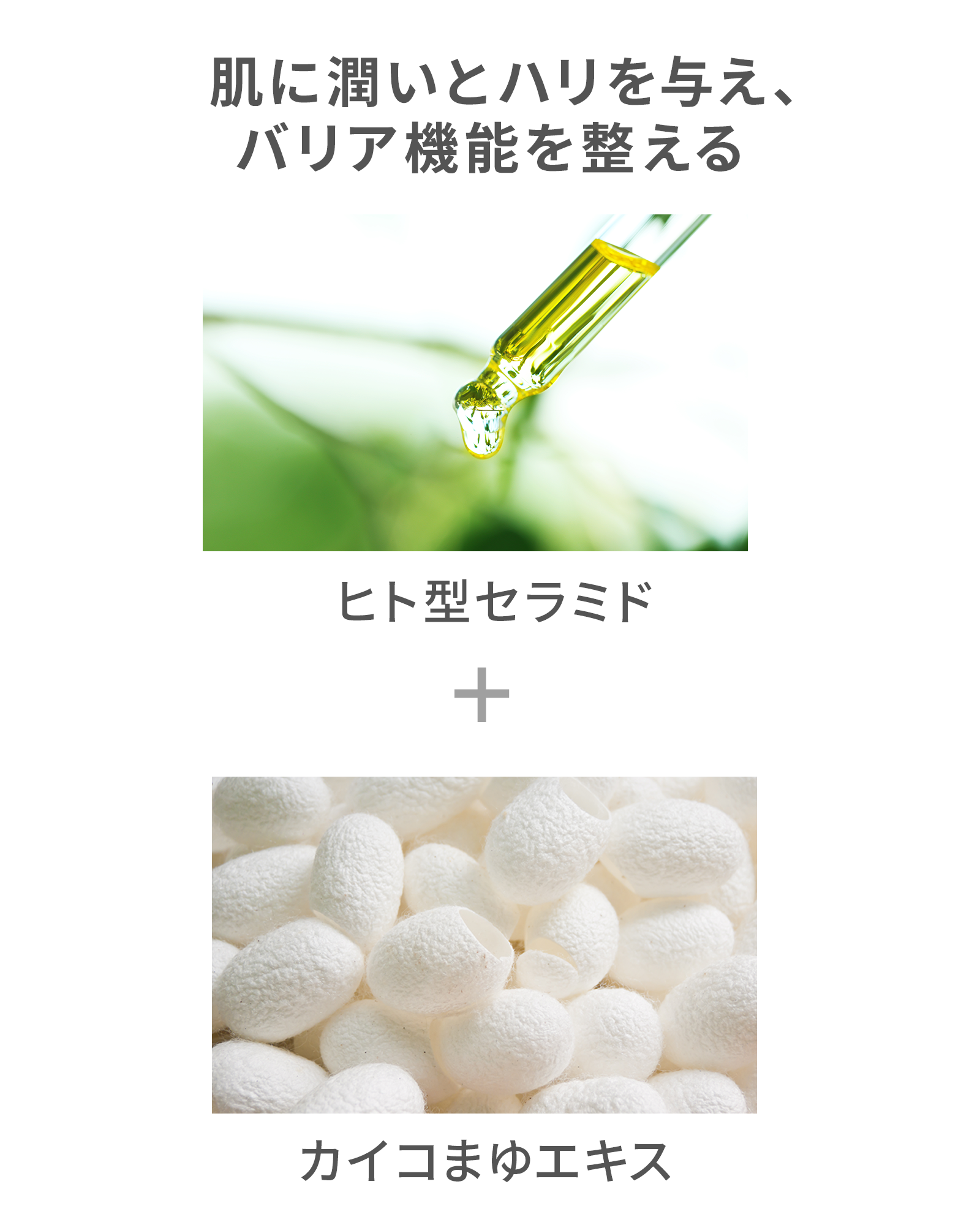 【定期コース】【初回50％OFF】ボタニカルモイストセラム