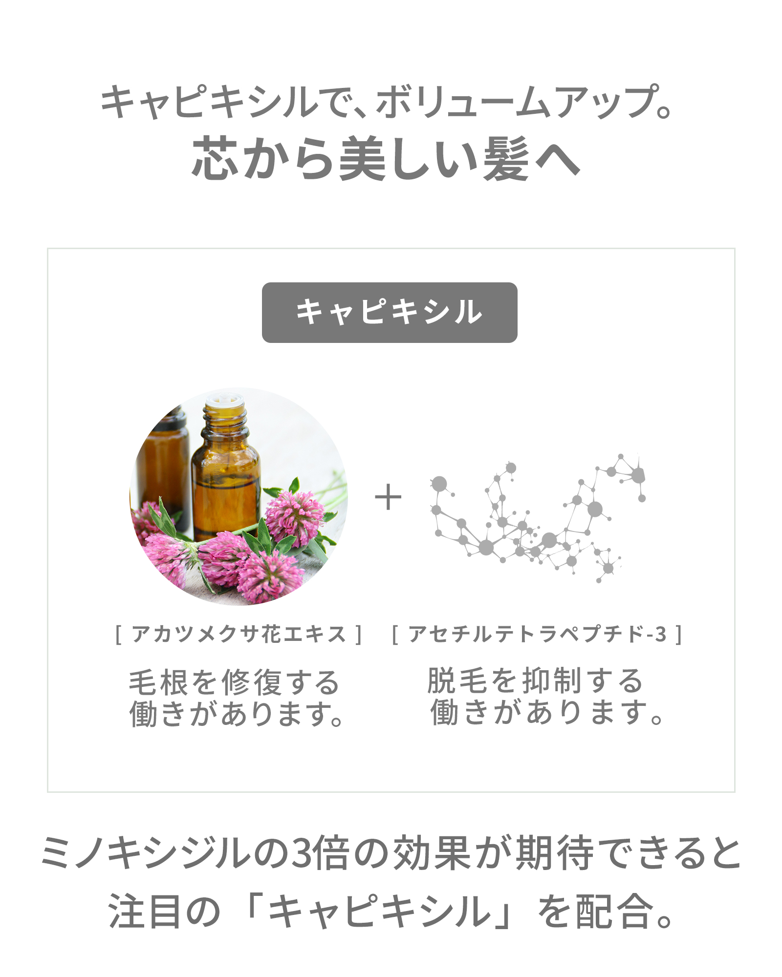 【70％OFF】ボタニカルリペアシャンプー(ポンプ付)＆トリートメント・トラベルセット付