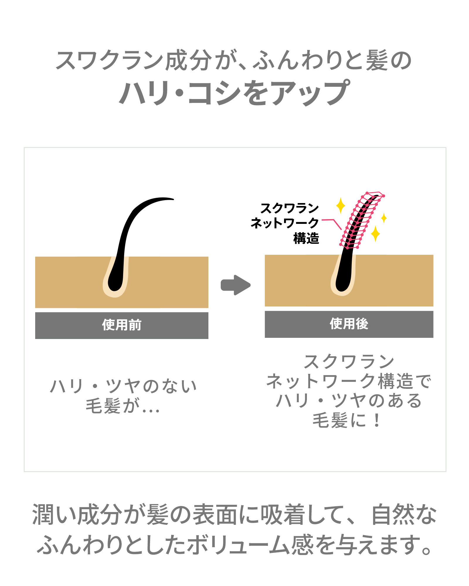 ボタニカルリペアヘアケアセット
