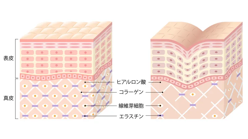 50代におすすめのファンデーション