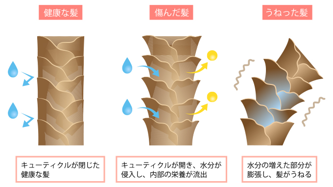 湿気で髪がうねる原因のイメージ