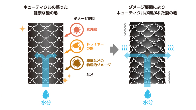 紫外線で髪がパサつく原因のイメージ