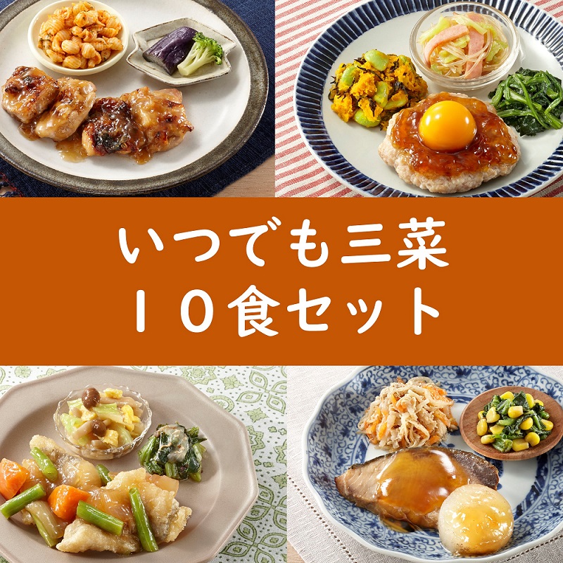 いつでも三菜10食セットC