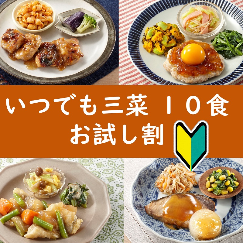 いつでも三菜10食セット お試し割