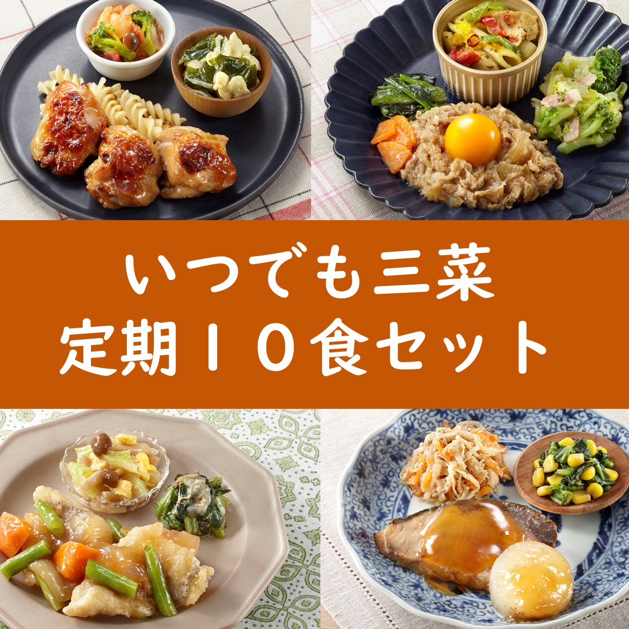 いつでも三菜10食セットA