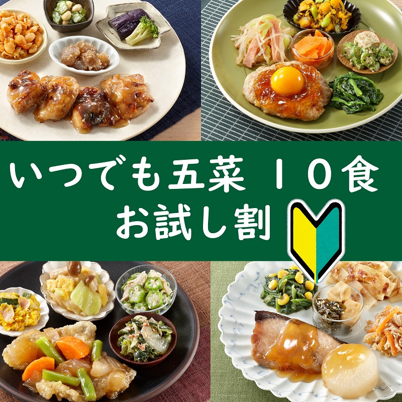 いつでも五菜10食セット お試し割