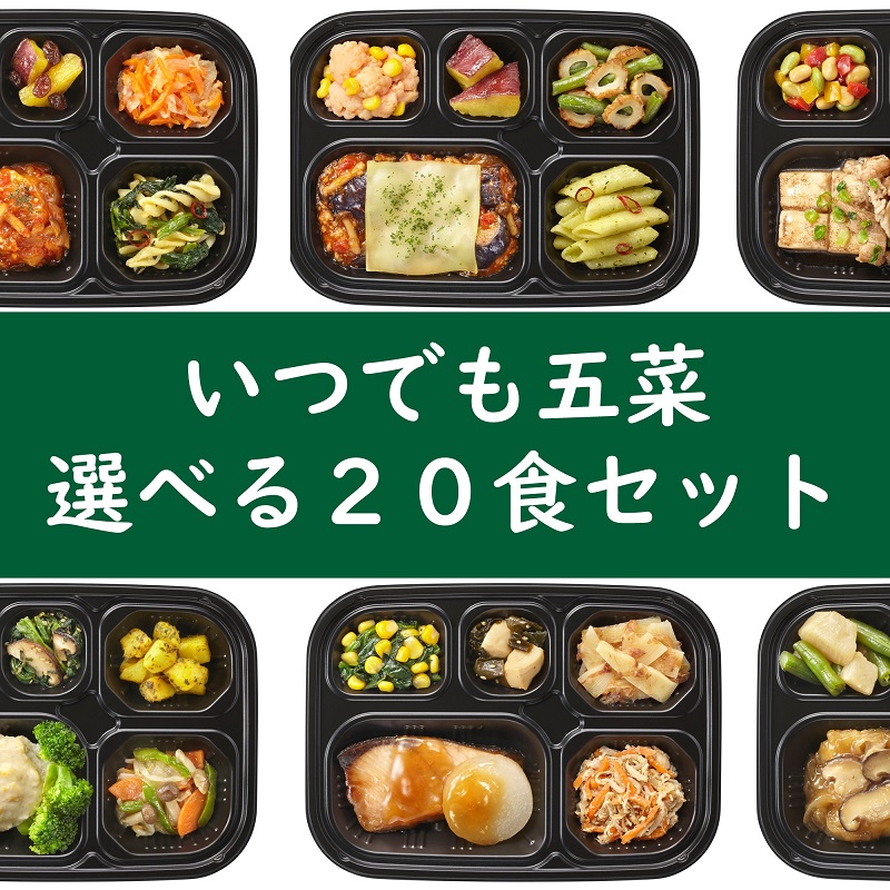 選べるセット五菜20食