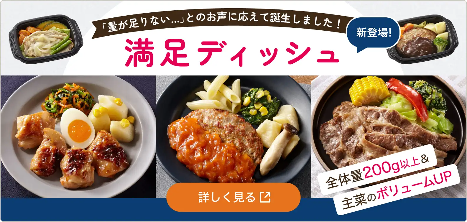 満足ディッシュ新登場！