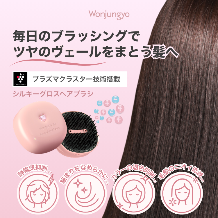 シルキーグロスヘアブラシ｜Wonjungyo