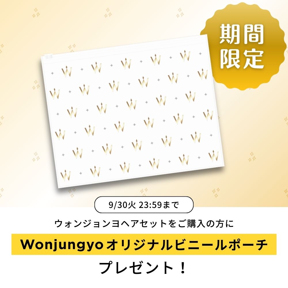 ウォンジョンヨヘア ストレートライン 本体セット