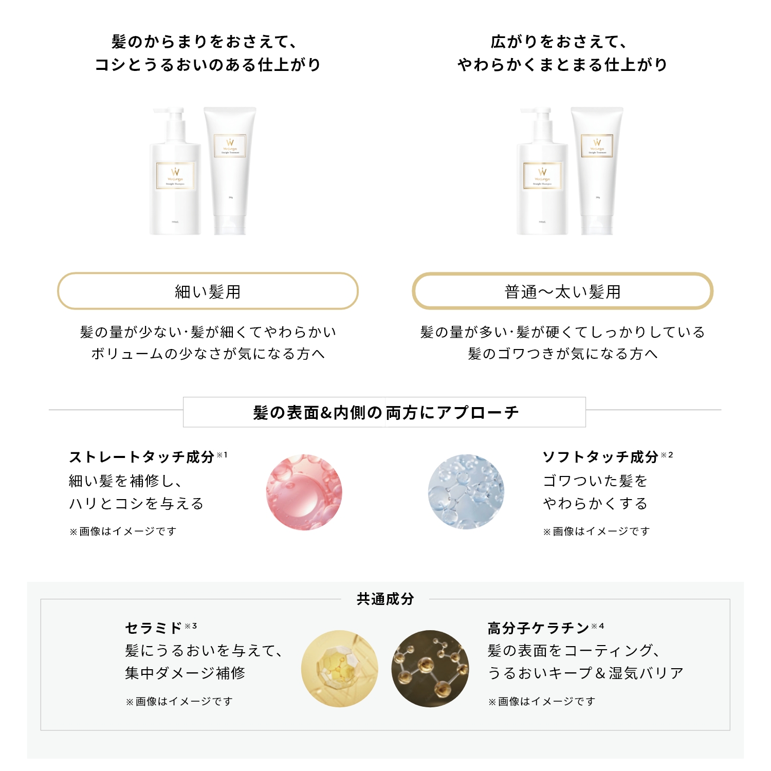 【9/12 つめかえ用発売】ストレートシャンプー 細い髪用／普通～太い髪用