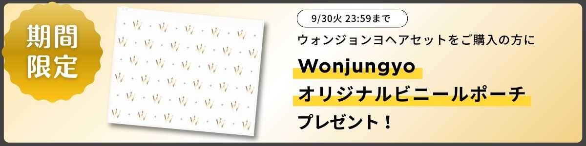 夫を味方にする方法　クリアファイル　ショッパー　セット　韓国 Wonjungyo