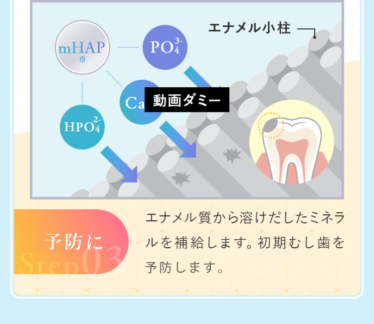 エナメル質から溶けだしたミネラルを補給します。初期むし歯を再石灰化します。
