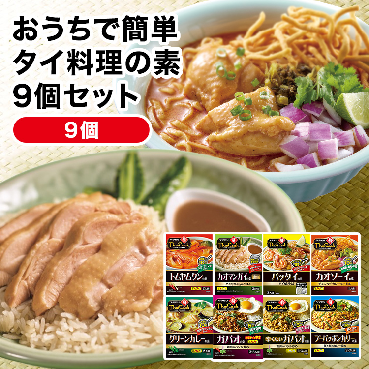 おうちで簡単　タイ料理の素9個セット